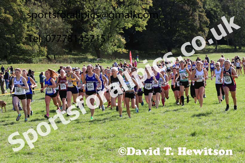 Senior and under-20s women 2024 Start Fitness NEHL, Thornley Hall Farm, Peterlee, Saturday, September 28th.   Photo: David T. Hewitson/Sports for All Pics